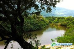 �����f(w��n)����ʯ÷���ϵ���Ƥ��