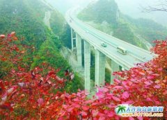 ���ҽ���ƺ�����ʯ�����L��������������