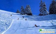 �@��������ԓ�������ߴ���ɫѩ����һ��