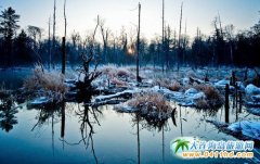 ���䱬����L��ɽ������