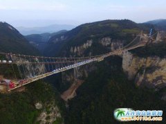 �����ׄ������ҽ��{�Ȳ�����ɹ�����