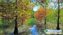 �_(t��i)���������]���_(t��i)����ֵ��һȥ������