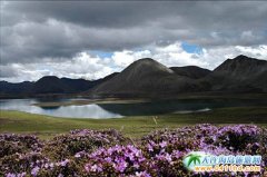 ����˼�����뾰�^�uҷ���� Ⱥ��ؓ�