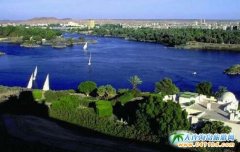 �W���R���D���Σ��R���D���ΈF�����B���R���D���ΈF