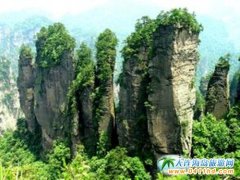 �������ҽ� ��ȫ�� �����ο�������