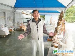 ��ꑸ��_���ЈF�p�� ��ɏ���ΘI�ߑK�şoн��