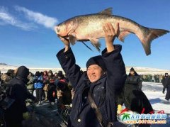 2015-2016�젖ɭ���ڶ��ñ�ѩ�O�C�Ļ����ι�(ji��)