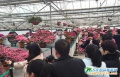 湘潭盤龍大觀園被評“春季旅游10大景區(qū)”榜首