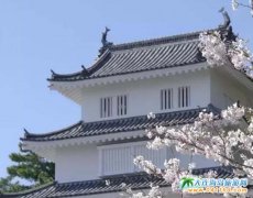 �L��ųǣ�������֮´���uԭ��