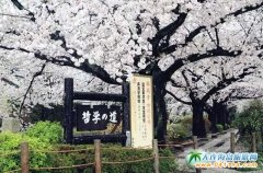 �y�w�µ���K���W���܌WС���ϵĻ��c��