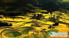 �Ĵ��Ͳ˻�ʲô�r���_���Ĵ��Ͳ˻������_��2��