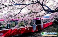 2016�_���p����ʳ���Դ�ȫ���_���p����ʳ��ȥ̎