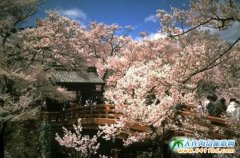 �ձ����h(yu��n)��ַ���@�p�ѻ��r(sh��)�g