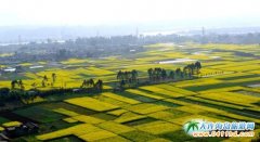 �Ĵ��ɶ���߅�p��������Щ�õط���