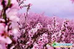 3�¡�4�¶�����˹�p������