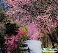 �_���p�����Σ��_������ס�ރr����