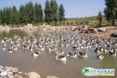 3��8�ՋDŮ�����M�ζ�����˹����@