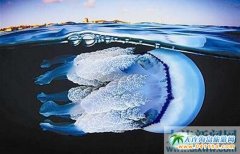 ������ˮ��������õ�һĻ