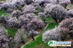 ���������� �w���֥���´� ѩ���һ���