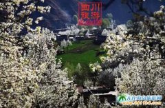 �Ĵ������ݽ������滨���ٴ����ºÕr��