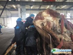 ���B�����W�ز����^��̽����Ĩ���L���ص� ��