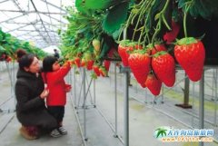 �ɶ���߅̤�ࡢ��ժ����Ұ�ˡ���~��ȫ����