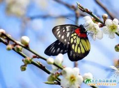 �_(t��i)���p���ι��ԣ��_(t��i)��ȫ�껨�ڿ��R