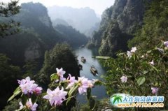 ���ҽ猚������^���N��ʢ�_