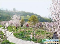 ���P�һ��Ļ����ι��������P��һ��Ⱦ��^�e��