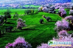 �������_�h���һ���M���Ļ�Ԫ��