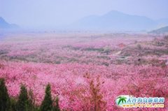 �����s�@���Ϳ����κ��������� ������B�ƽ���һ���