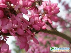 2017����������ѻ�һ����35Ԫ