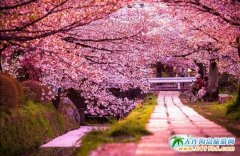 ���u�ѽ����_�����ԁ��� �p������������������ǰ�_��