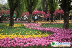 ����ֲ��@��������ǰһ�ܾ`��