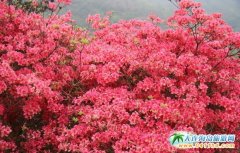 �����t�� �_���ж��N���K���_��