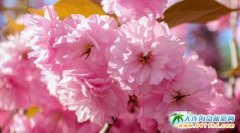 2016���203�ߵؙѻ��@+���B�Ѓ�һ����40Ԫ