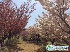 �M�@��ɫ�P��ס ��혶������ѻ��@