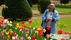 �����r�������������ݼӵǳǱ��ć��H��չ��6̖�_Ļ