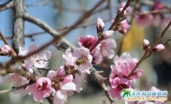 ������˹���ڶ����һ����Ļ����H���ι�����16���_Ļ