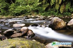 �_������ ���p�����ʘ�t�~