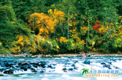 ��һ������ص�����  �����ϵ����