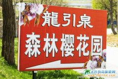 �������Ȫ�ѻ��@,���B�������Ȫɭ�֙ѻ��@��B