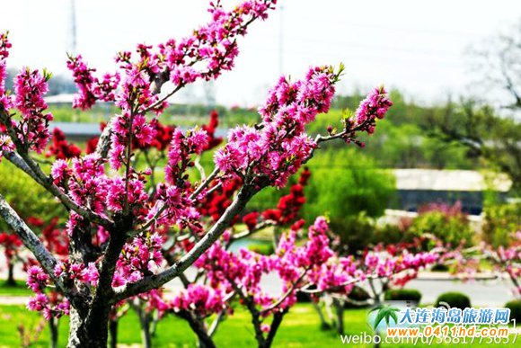 ���B�������Ȫɭ�֙ѻ��@