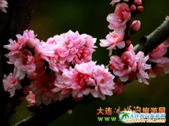 ���B�ٻ��ȡ������B���ε���һ̎������Դ