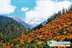 ��֥���ήa(ch��n)�I(y��)�~�����_(t��i)�A