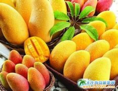 ���ϡ�â���h������������¡����(d��ng)����(d��ng)