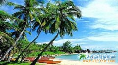 �������� �����ĺ��I���γ���