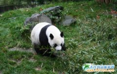 ���Ĵ����������£����_(t��i)�����_�Ļ