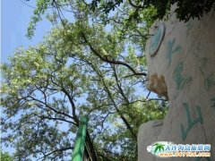 ���ɽ�������������黨�_ʢ����