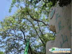 ���ɽ�p�����������������B�����ɽ·��������Ҫ��